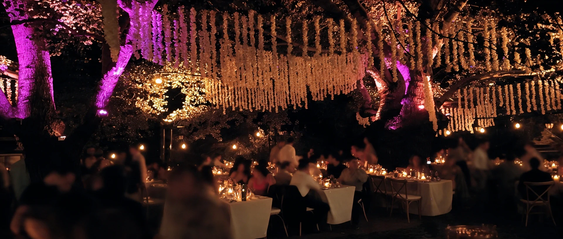 Outdoor dinner setting surrounded by warm and violet atmospheric lighting
